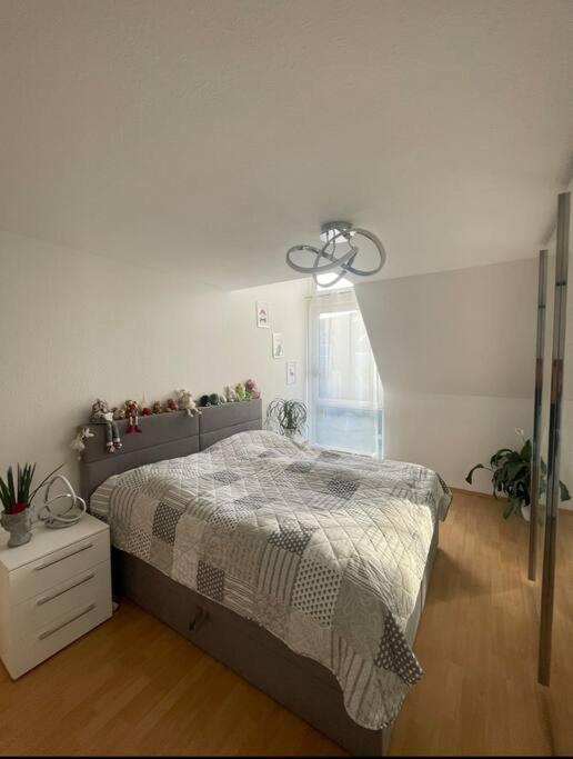 Dresden Escape Schicke 2 Zimmer Wohnung Kültér fotó